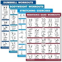 Palace Learning 4 Pack - Dumbbell Workouts + Bodyweight Workouts + Stretching Exercises + Resistance Bands - Set of 4 Workout Charts (18” x 24”, LAMINATED)