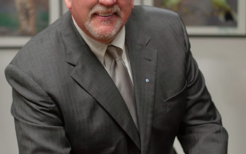 4 tips to effectively grow your business with the Law of the Harvest