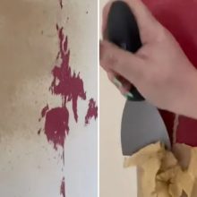 I’ve found the best £2 product to remove stubborn, ugly wallpaper – it made my DIY decorating a breeze