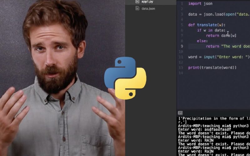 A person teaching a coding course