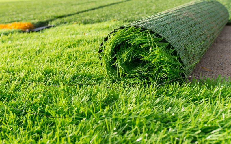 We’re gardening experts and here are the reasons why you should NEVER get a plastic lawn