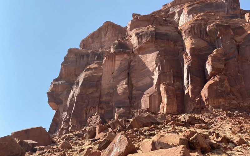 You have the eyes of a hawk if you can spot the secretive goat on a rocky hillside in ten seconds