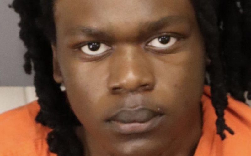 Chilling update after missing Taylen Mosley's mom Pashun Jeffrey stabbed '100 times' as boy found in alligator's mouth