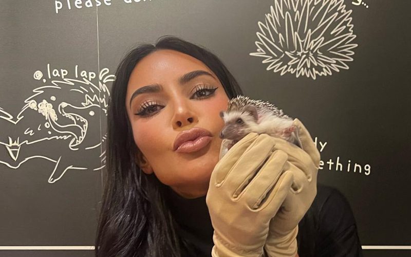 Kim Kardashian praised for ‘relatable’ parenting as she takes daughters North, 9, and Chicago, 5, to Japan hedgehog cafe