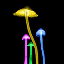 The Drum | How Digital Transformation Is Stamping Out Passé B2B Sales Techniques