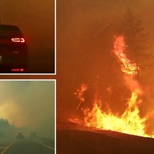 'Apocalyptic' dashcam video shows cars racing to escape wildfire and almost crashing as driver says 'I nearly died'