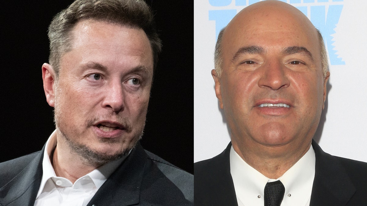 Kevin O'Leary Challenges Elon Musk's 'Immoral' View On Remote Work — 'They Ain't Coming Into The Office, Period'