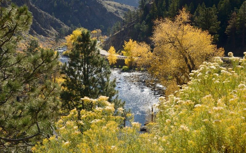 Fort Collins, Colorado.